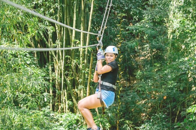 Dunn's River Falls and Park Tour with Zip Line from Montego Bay - Key highlights worth noting before you go