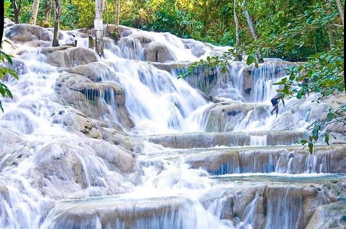Dunn's River Falls and Park Tour with Zip Line from Montego Bay - Zip line over the treetops: the thrill and the views
