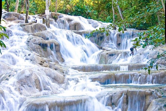 Dunn's River Falls and Park Tour with Zip Line from Montego Bay - Entering Dunn’s River Falls: what the climb feels like