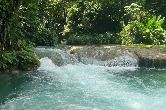 Dunn's River Falls & Blue Hole Tour from Montego Bay - The White Witch stop and the Scotchies Drax Hall food break