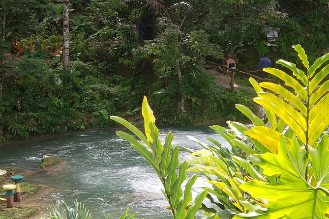 Dunn's River Falls & Blue Hole Tour from Montego Bay - Price and tipping reality for a $120 day