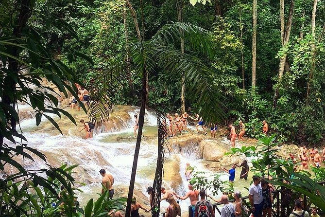 Dunn's River Falls & Blue Hole Tour from Montego Bay - Blue Hole time: swimming, cliff jumps, and why the on-site guides matter