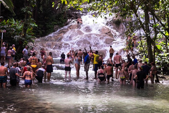 Dunn’s River Falls & Blue Hole Tour with Lunch - Transportation, Guides, and the Human Touch