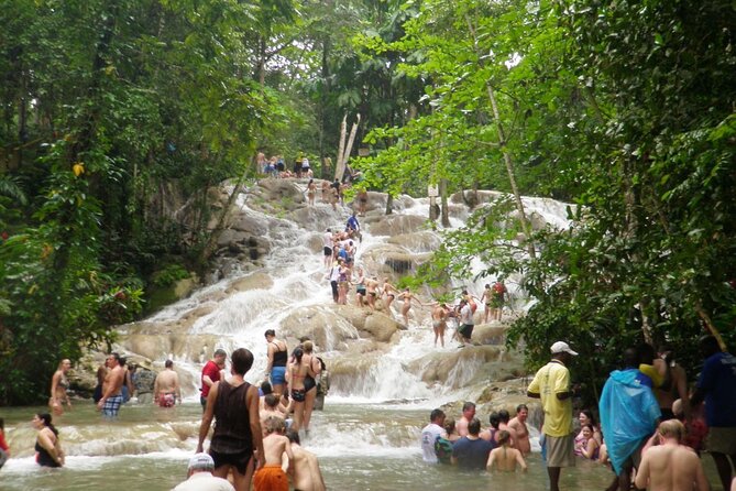 Dunn's River Falls Climb and Beach Include Entry Fee (ᵔᵕᵔ) - Montego Bay Logistics: Private Transportation and a 4 to 5 Hour Pace