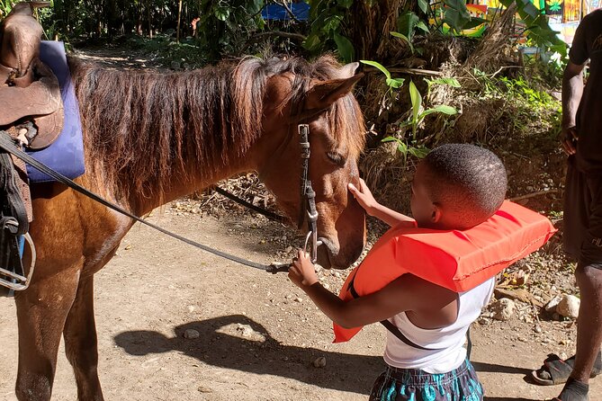 Dunn's River Falls Climb, Zipline and Horseback Riding Private Tour - Why the combo tour is good value at $295 per person