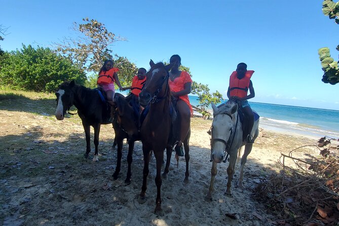 Dunn's River Falls Climb, Zipline and Horseback Riding Private Tour - Dunns River Falls climb: terraced steps, swim breaks, and real “water shoes” energy