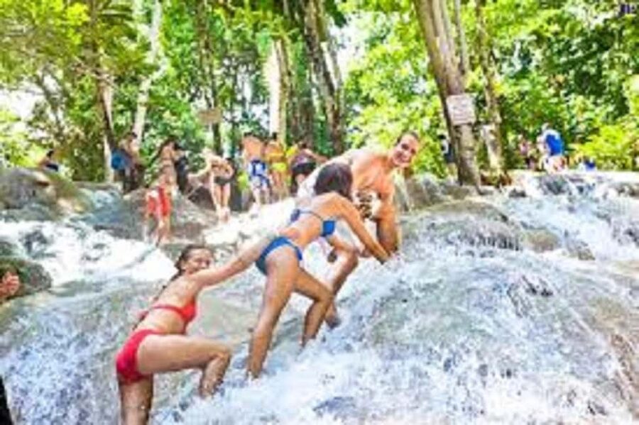 Dunn's River Falls Day Tour - Price and Value: $208 Per Group Up to 2