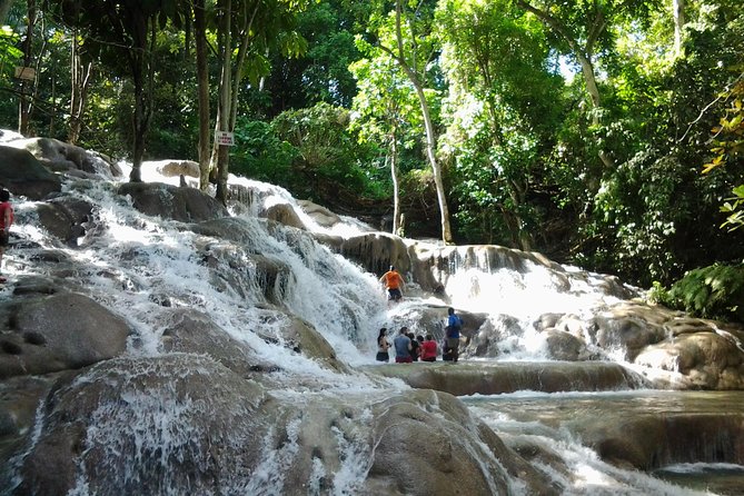 Dunn's River Falls excursion from Montego Bay - Key things I’d circle before you go