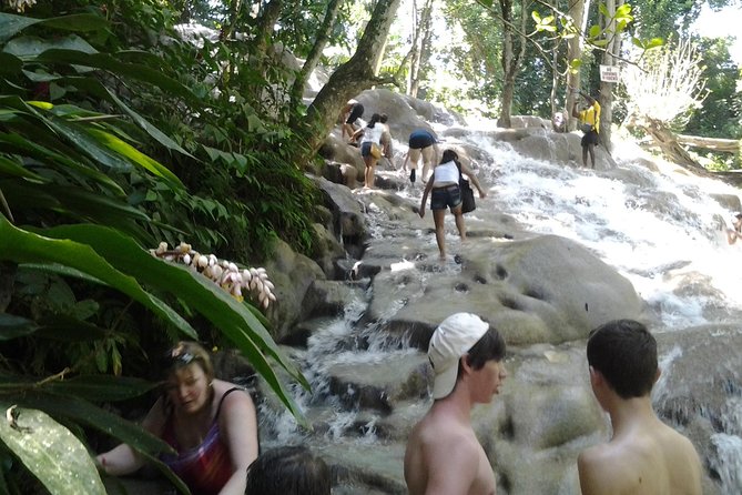 Dunn's River Falls excursion from Montego Bay - Timing that matters: 8:00 am start and a full half-day feel