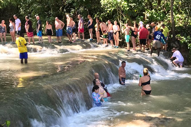 Dunn's River Falls From Montego Bay - Price and Logistics: Is $150 Per Person Fair Here?