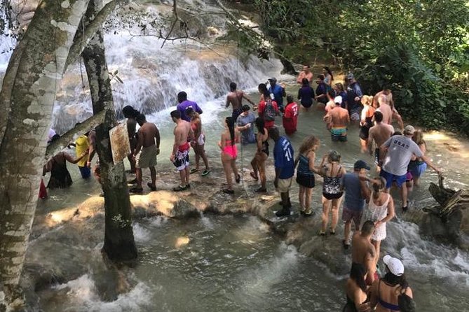 Dunn's River Falls From Montego Bay - 8:00 am Pickup From Hotels and Cruise Ports, Done the Easy Way