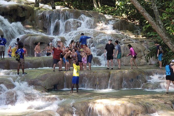 Dunn's River Falls Half Day Tour From Montego Bay - Who this tour suits best, and who should think twice