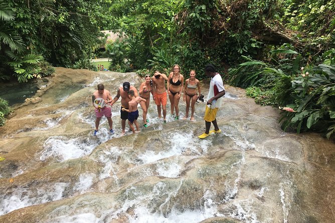 Dunn’s River Falls & Horse Back Riding Transportation Only - Who This Tour Fits Best (and Who Should Skip It)