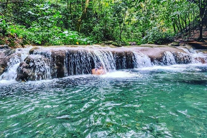 Dunn's River Falls & Luminous Lagoon Guided Tour from Montego Bay - Who should book this tour, and who should skip it