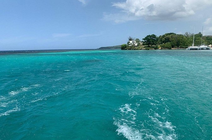 Dunn's River Falls Party Cruise, Blue Hole with Snorkeling, free beverages - Price and value: what $165.30 gives you