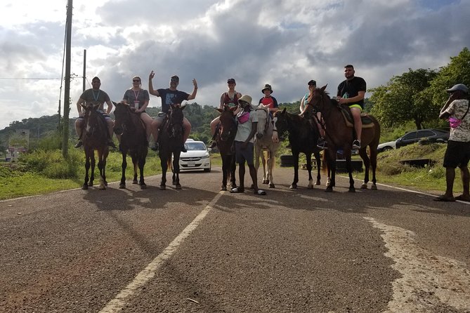 Dunn's River Falls, River Tubing, and Horseback Riding With Transportation - Dunn’s River Falls: 180 Feet of Natural Stair Steps (and Real Footing)