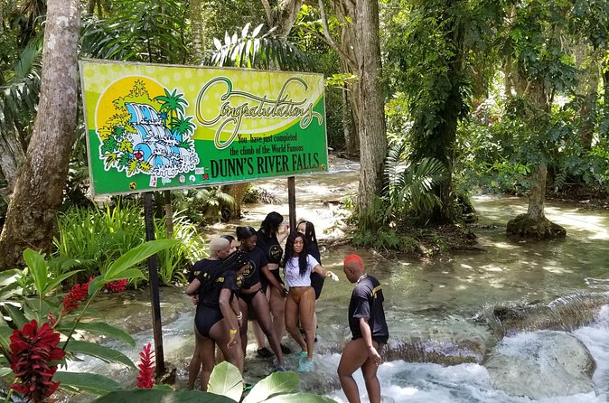Dunn's River Falls & River Tubing with Lunch from Falmouth - Tour Provider, Group Size, and the Feel of a Real Day