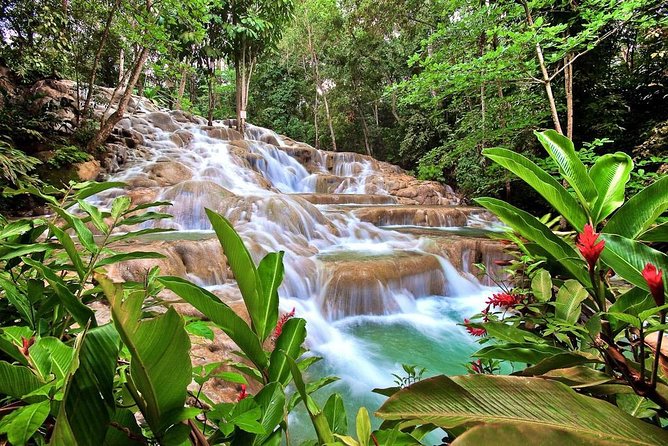 Dunn's river falls, shopping and lunch - Key things that make this tour worth your time