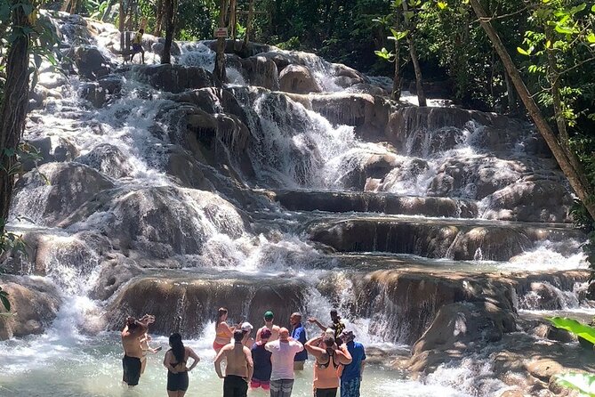 Dunn's River Falls, Zipline Adventure from Kingston - Key Things to Know Before You Go