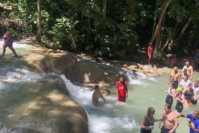 Dunn's River Falls, Zipline Adventure from Kingston - Lunch With Reggae: When Food Is Part of the Atmosphere