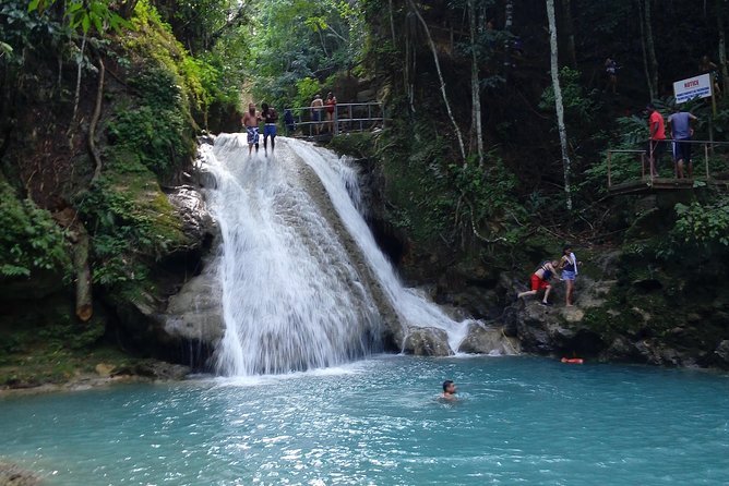 Dunn's River Falls - Your Private Ride From Montego Bay in a 7-Seat Van
