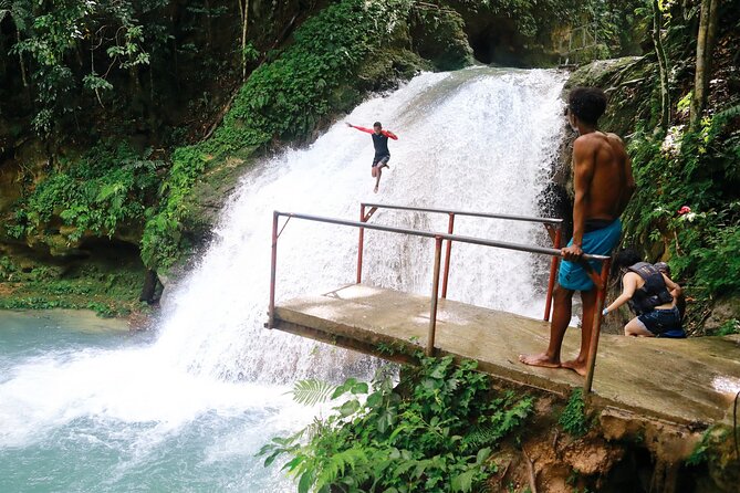 Dunn's River Park & Blue Hole Waterfall Combo from Montego Bay - Your driver and guides: smooth logistics and real personality
