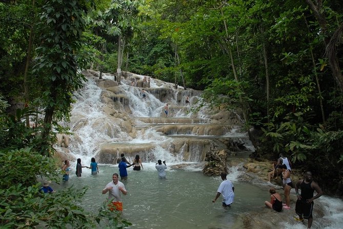 Dunn's River Tour from Falmouth - Key highlights at a glance