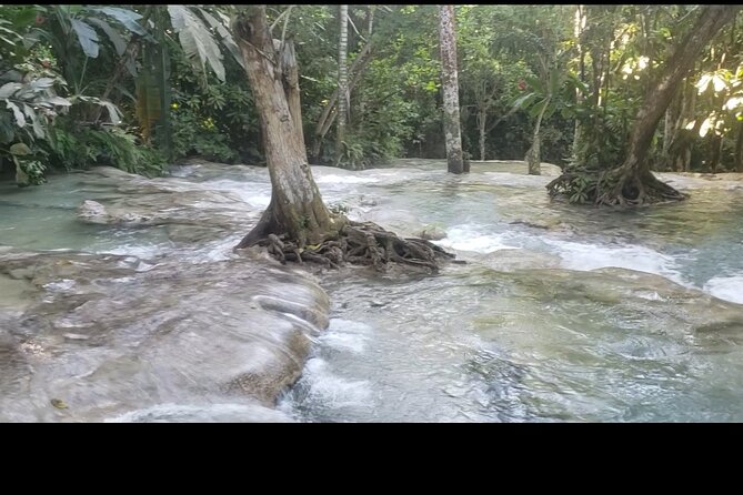 Dunns River Falls Experience from Montego Bay Resorts - Transportation expectations: pickup helps, but check what private means