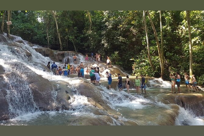 Dunns River Falls Private Day Tour - Small Decisions That Make the Day Go Smoother