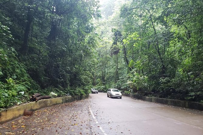 Dunns River Falls Scenic Tour - The Countryside Mountain Pass Stops, Where the Drive Actually Matters