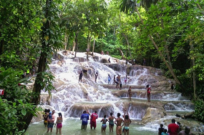 Dunns River Falls - Ride Comfort: What to Expect in the A/C Vehicle