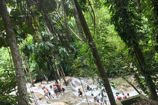 Dunns River Tour - Private tour from Montego Bay: why the setup feels smoother