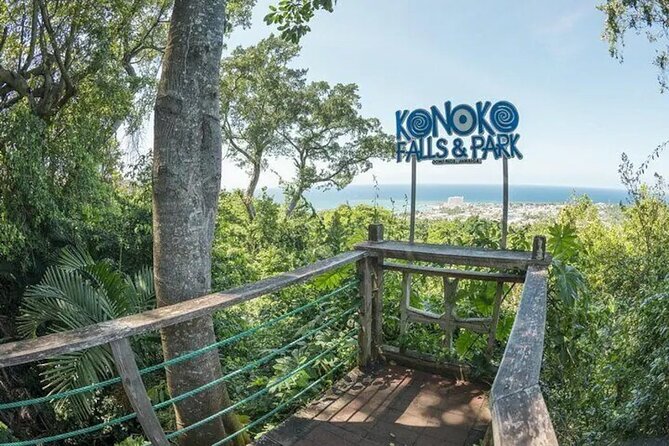 Eco Explorers Waterfall, Rainforest, local Shopping with lunch - Taj Mahal Shopping Center: rum and coffee samples and a fast souvenir route