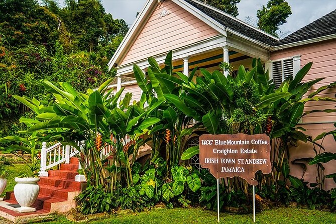 Exotic Blue Mountain Coffee Tour - Key highlights worth planning around
