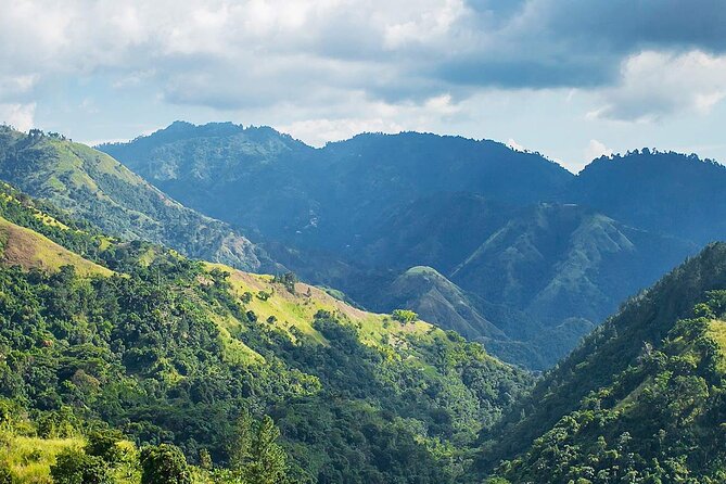 Exotic Blue Mountain Coffee Tour - Pickup, timing, and how the day stays manageable