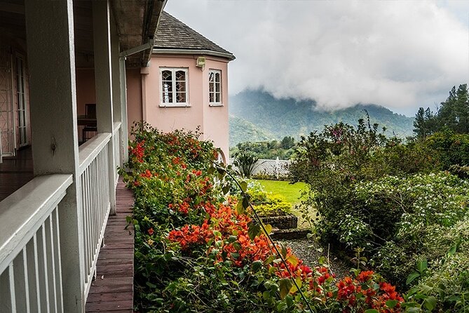 Exotic Blue Mountain Coffee Tour - Price and value: what you’re really paying for