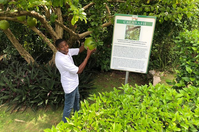 Explore Montego Bay Jamaica Private Tour to Green Gratto Cave - Timing and pacing: why 3 to 4 hours is a smart length