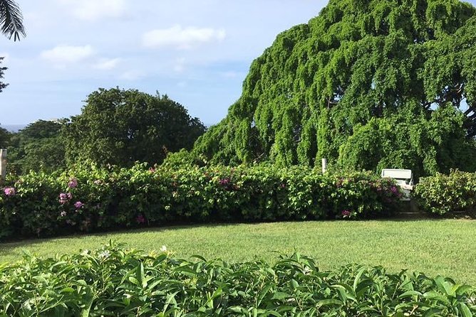 Explore Montego Bay Jamaica Rose Hall Great House Day/Night Tour - Why the Rose Hall Great House Night Tour Feels Different