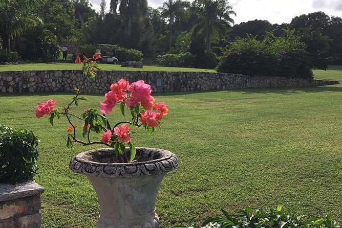 Explore Montego Bay Jamaica Rose Hall Great House Day/Night Tour - Rose Hall Great House After Dark: What You’ll Experience