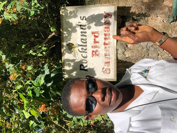 Explore Montego Bay Private Highlight Tour from Montego Bay - Hip Strip time: seeing the energy without losing your whole day
