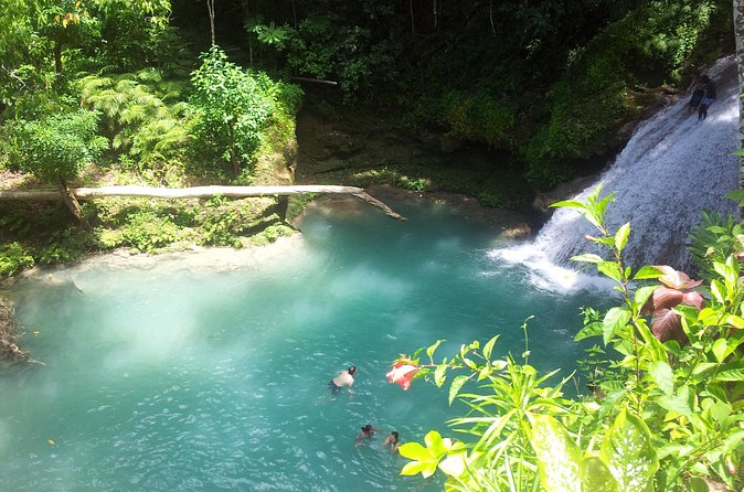 Falmouth Dunns River Falls and Blue Hole Excursion - Should You Book This Blue Hole and Dunn’s River Excursion?