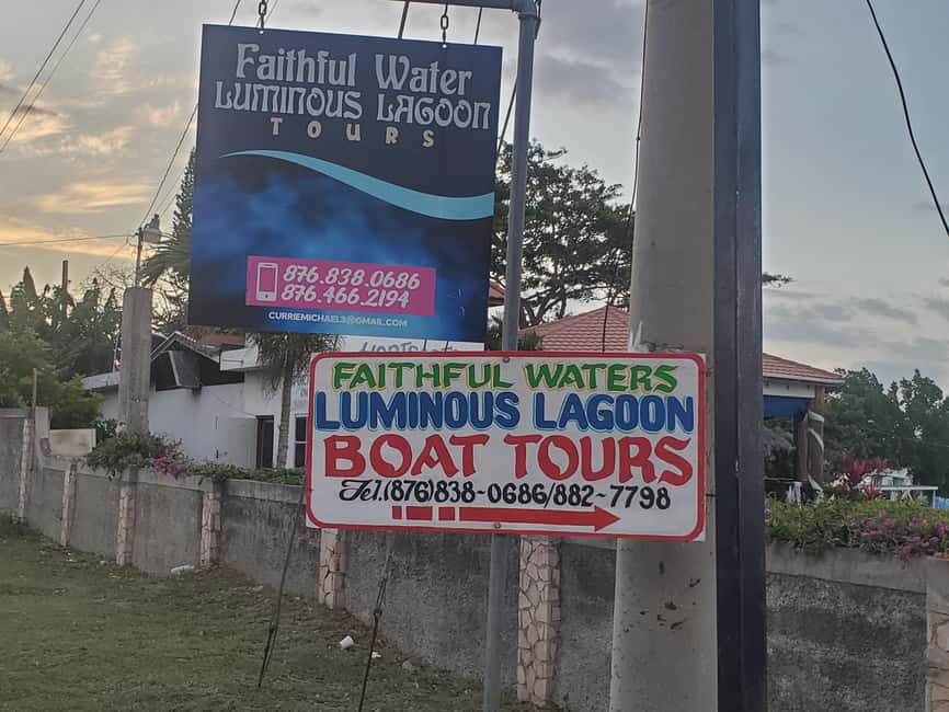 Falmouth: Luminous Lagoon Boat Tour - Value and price: is $25 a good deal?
