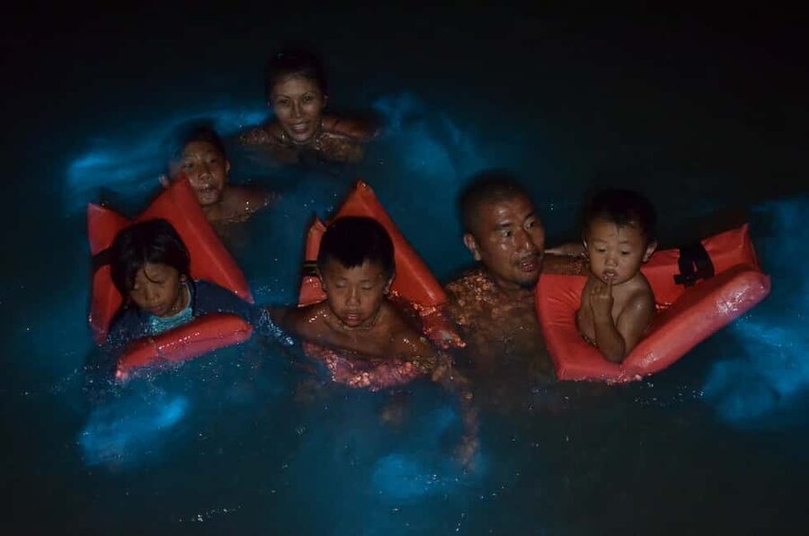 Falmouth: Luminous Lagoon Boat Tour - Rum punch during the evening ride