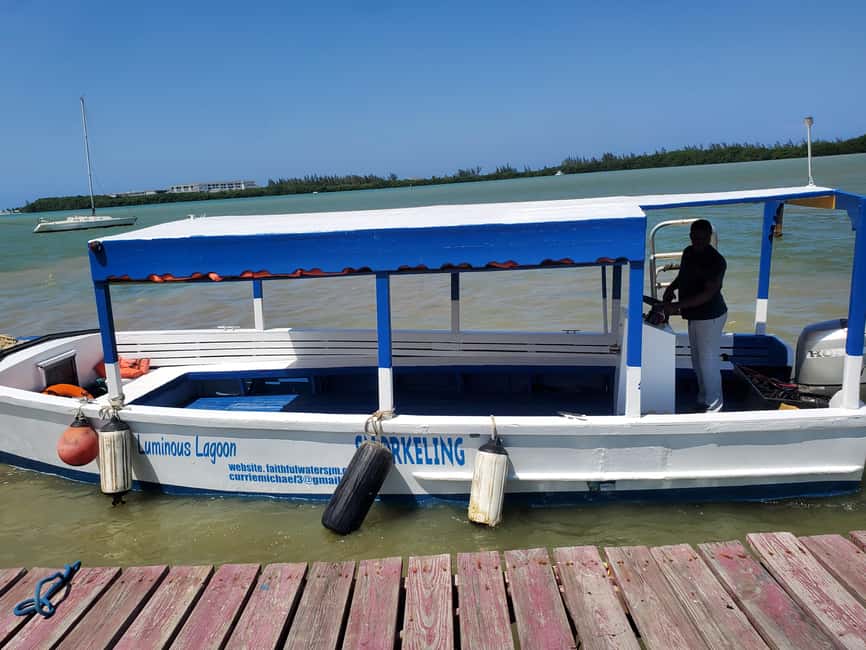 Falmouth: Luminous Lagoon Boat Tour - Swimming in the bioluminescent lagoon: the big moment