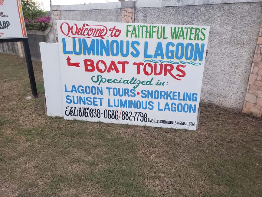 Falmouth: Luminous Lagoon Boat Tour - What the guide adds: science and folklore in plain language