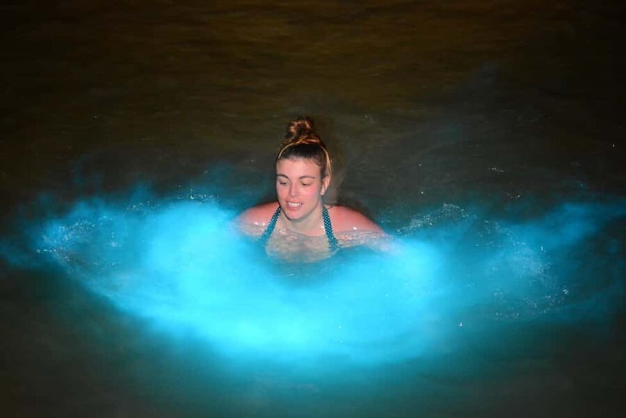 Falmouth: Luminous Lagoon Boat Tour - Small groups and private options: who this fits best