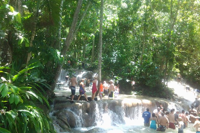 Falmouth Shore Excursion Dunn's River Falls - Price and value: what $110.98 buys you