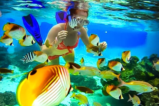 Family Fun-Snorkeling with Lunch Stop from Montego Bay - The pre-snorkel lesson: why it matters for first-timers
