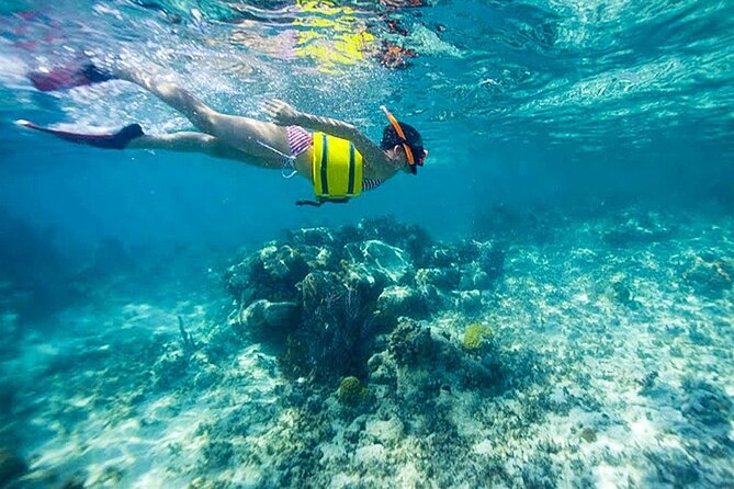 Family Fun-Snorkeling with Lunch Stop from Montego Bay - Lunch or early dinner after the reef: included, but flexible