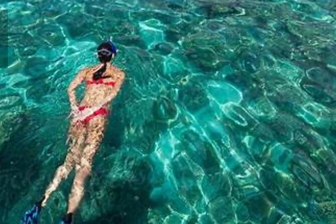 Family Fun-Snorkeling with Lunch Stop from Montego Bay - Price and logistics: is $110 a good deal?